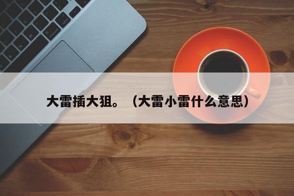 大雷插大狙。(大雷小雷什么意思)