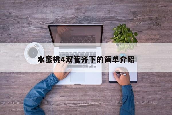 水蜜桃4双管齐下的简单介绍