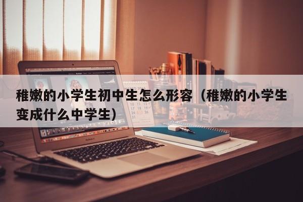 稚嫩的小学生初中生怎么形容（稚嫩的小学生变成什么中学生）