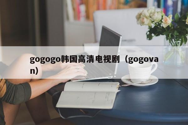 gogogo韩国高清电视剧(gogovan)