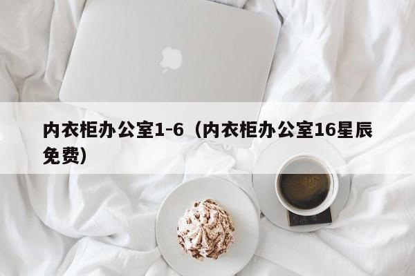 内衣柜办公室1-6(内衣柜办公室16星辰免费)