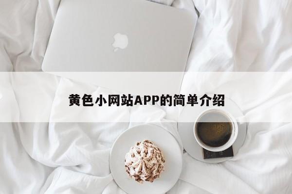 黄色小网站APP的简单介绍