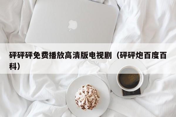 砰砰砰免费播放高清版电视剧(砰砰炮百度百科)
