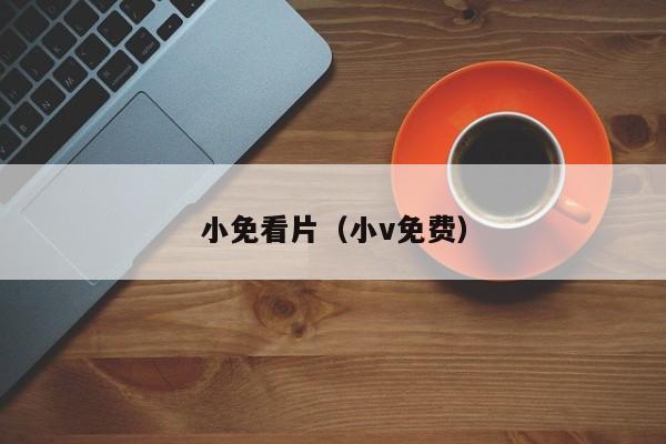 小免看片(小v免费)