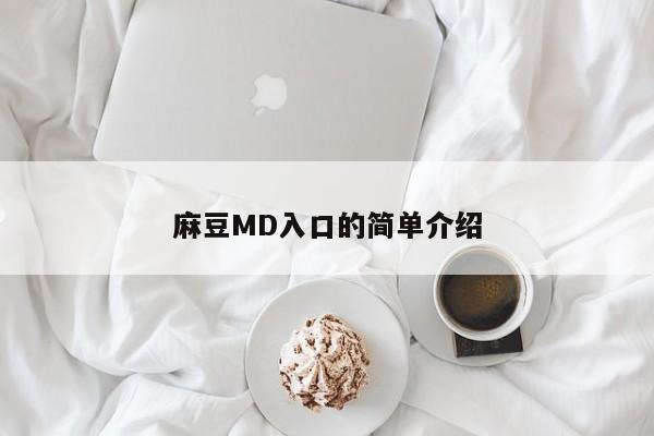 麻豆MD入口的简单介绍