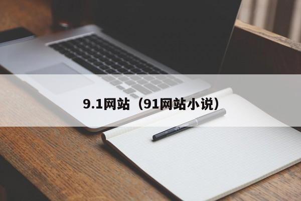 9.1网站(91网站小说)
