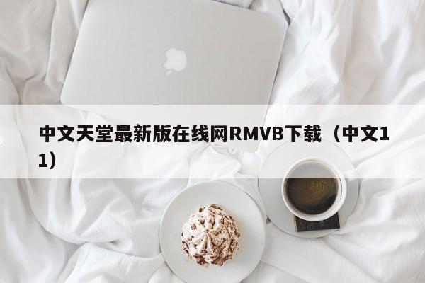 中文天堂最新版在线网RMVB下载(中文11)