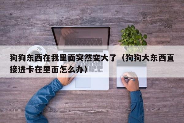 狗狗东西在我里面突然变大了(狗狗大东西直接进卡在里面怎么办)