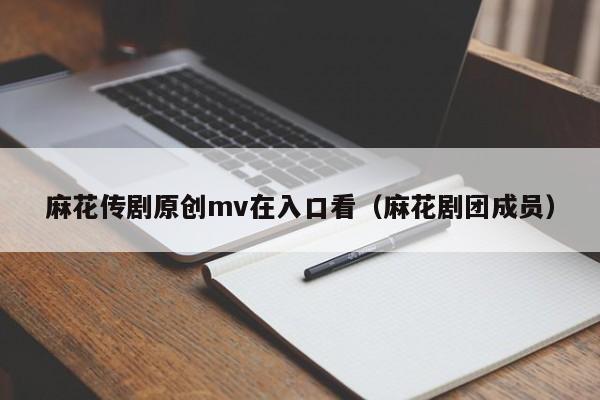 麻花传剧原创mv在入口看(麻花剧团成员)