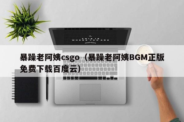 暴躁老阿姨csgo(暴躁老阿姨BGM正版免费下载百度云)