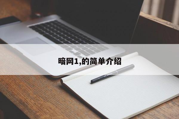 暗网1,的简单介绍