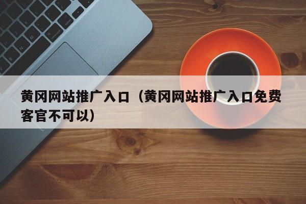 黄冈网站推广入口(黄冈网站推广入口免费 客官不可以)