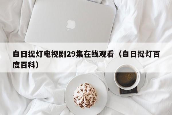 白日提灯电视剧29集在线观看(白日提灯百度百科)