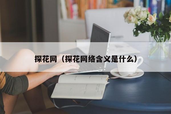 探花网(探花网络含义是什么)
