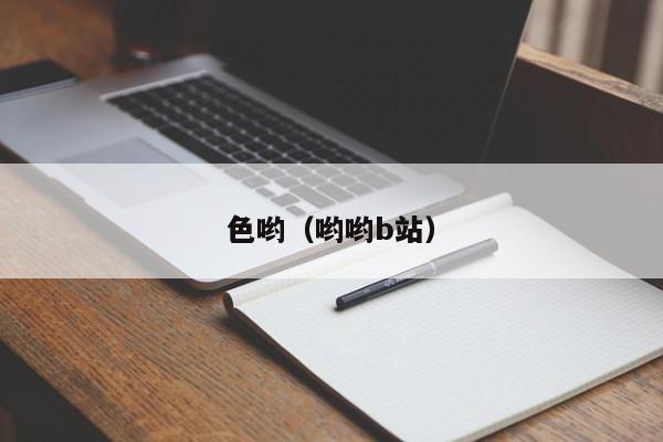 色哟(哟哟b站)