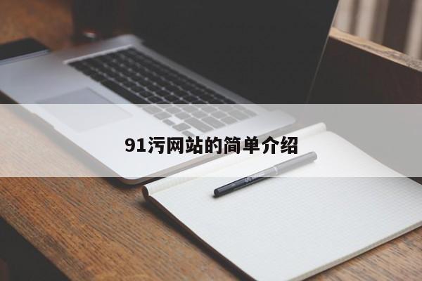 91污网站的简单介绍