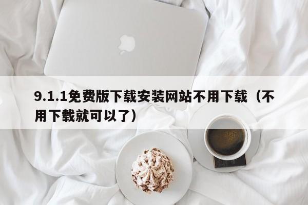 9.1.1免费版下载安装网站不用下载(不用下载就可以了)