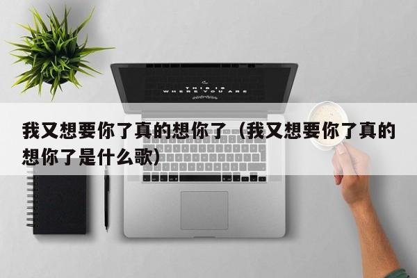我又想要你了真的想你了(我又想要你了真的想你了是什么歌)