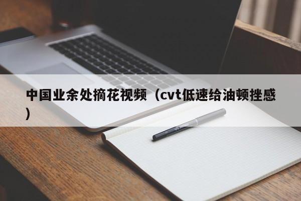 中国业余处摘花视频(cvt低速给油顿挫感)