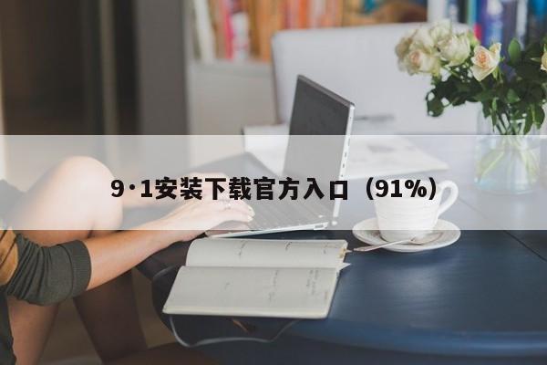 9·1安装下载官方入口(91%)
