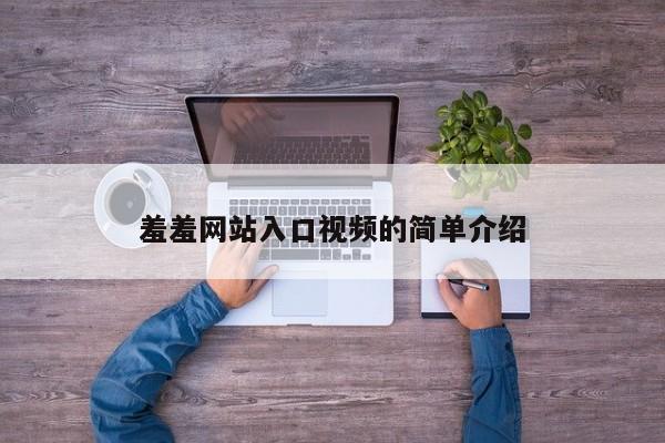 羞羞网站入口视频的简单介绍