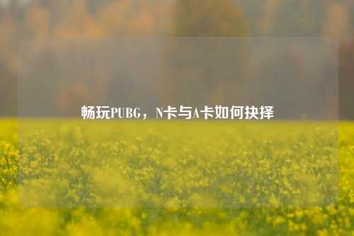 畅玩PUBG，N卡与A卡如何抉择