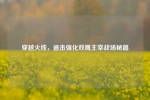 穿越火线，追击强化双鹰主宰战场秘籍