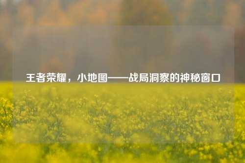 王者荣耀，小地图——战局洞察的神秘窗口