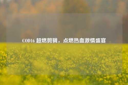 COD16 超燃剪辑，点燃热血激情盛宴