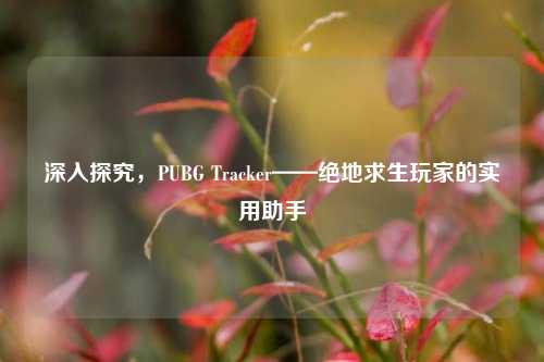 深入探究，PUBG Tracker——绝地求生玩家的实用助手