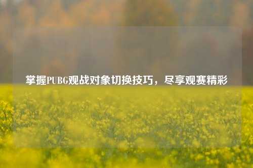掌握PUBG观战对象切换技巧，尽享观赛精彩