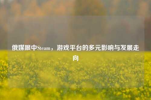 俄媒眼中Steam，游戏平台的多元影响与发展走向
