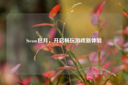 Steam包月,开启畅玩游戏新体验
