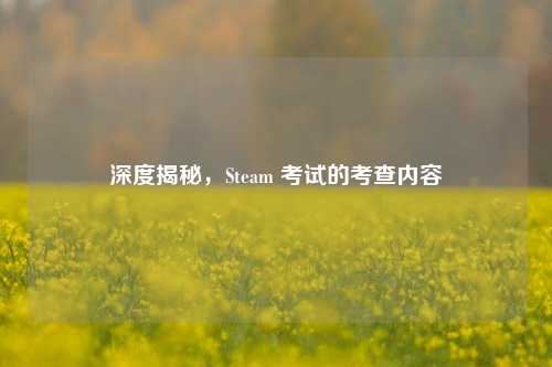 深度揭秘，Steam 考试的考查内容
