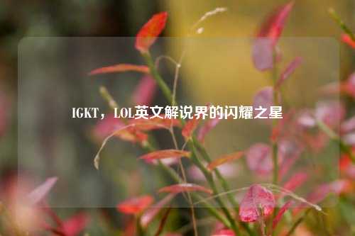 IGKT，LOL英文解说界的闪耀之星