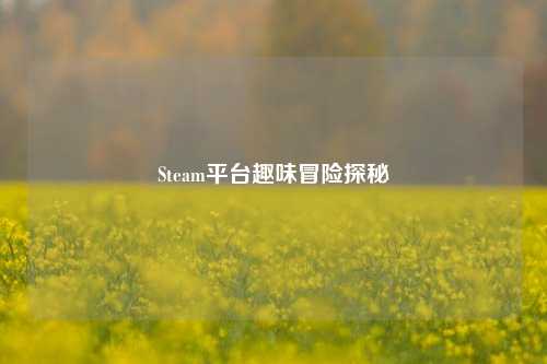 Steam平台趣味冒险探秘