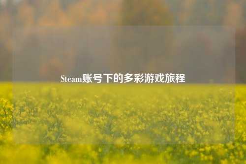 Steam账号下的多彩游戏旅程