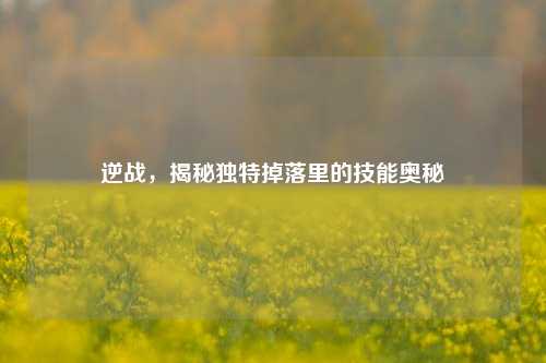 逆战，揭秘独特掉落里的技能奥秘