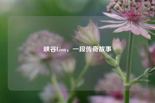 峡谷Lion,一段传奇故事