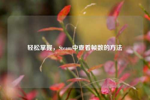 轻松掌握，Steam中查看帧数的方法
