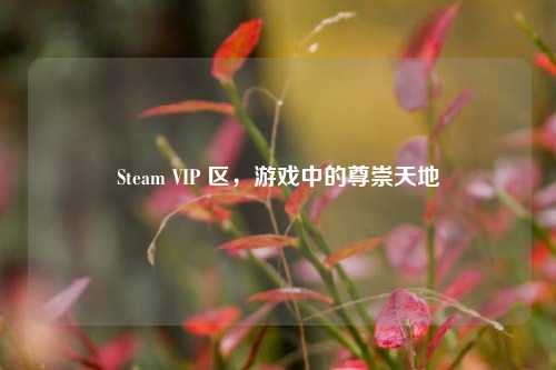 Steam VIP 区，游戏中的尊崇天地