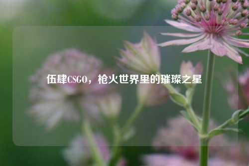 伍肆CSGO，枪火世界里的璀璨之星