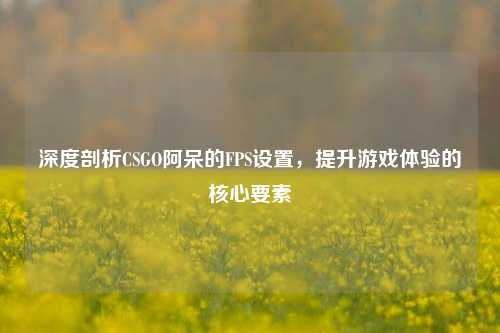 深度剖析CSGO阿呆的FPS设置，提升游戏体验的核心要素