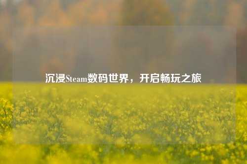 沉浸Steam数码世界，开启畅玩之旅