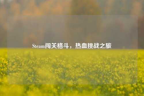 Steam闯关格斗，热血挑战之旅