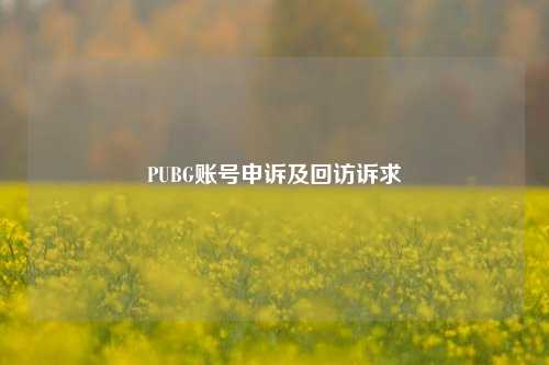 PUBG账号申诉及回访诉求
