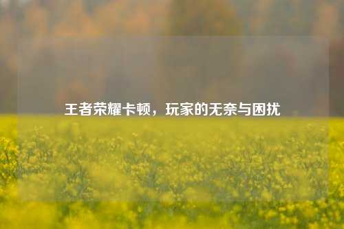 王者荣耀卡顿，玩家的无奈与困扰