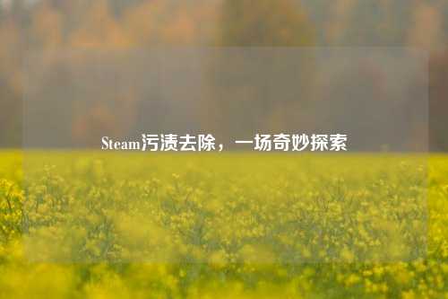 Steam污渍去除，一场奇妙探索