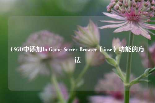 CSGO中添加In Game Server Browser（insc）功能的方法