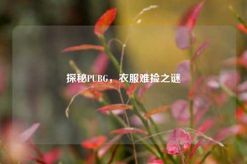 探秘PUBG，衣服难捡之谜